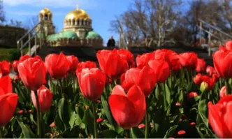 Днес празнуват Георги Герго Гергана Геро Гюрга Гето Гецо Гоце