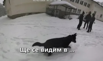 ППДБ осъдиха безусловно злоупотребата с деца