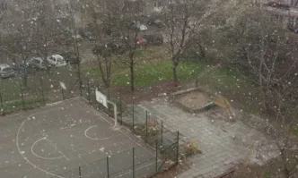Пролет ли? Сняг на парцали се изсипа във Варна (ВИДЕО)