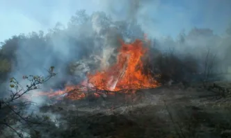 Пожарната и общината в Ловеч бият тревога заради риск от пожари