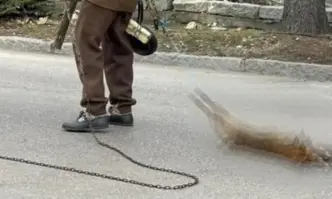 Вълна от възмущение и десетки гневни коментари в социалните мрежи