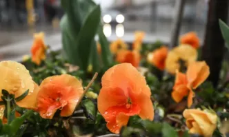 Във вторник 6 май ще преобладава слънчево време Минималните температури