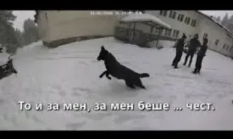 Стотици часове архивни видео записи на електронните карти от камерите