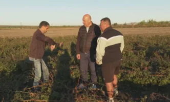Започва описването на щетите от бурята която връхлетя Бургаско преди