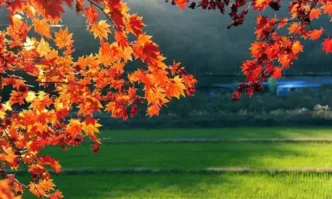 Златната есен продължава и в следващите дни с приветливо топло