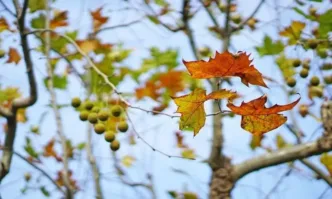 Последните дни на септември ще донесат усещане за късно лято