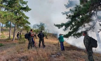 Огънят край Лесово премина Тунджа, има евакуирани