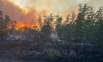 Обявено е частично бедствено положение в община Тополовград. Има огнища на пожари