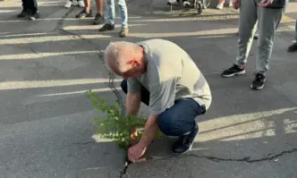 Засадиха дървета в новоасфалтираните бул. Патриарх Евтимий и ул. Фритьов Нансен