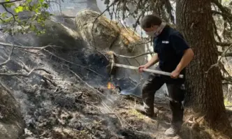 Битката с огъня в Рила продължава с гасене на ръка