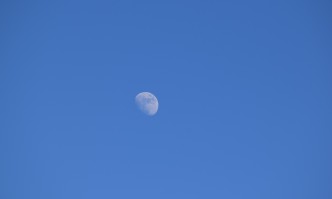 Луната към 11 ноември е във фаза на нарастване Луната