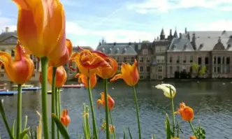 14 висши училища в Нидерландия се обявиха срещу приема на чуждестранни студенти