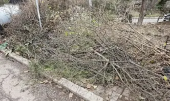 От Фейсбук профила на Цветан ФиковСпаси София Продължаваме Промяната коледно