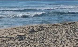 Петно от мазут на варненски плаж, Басейновата дирекция се самосезира