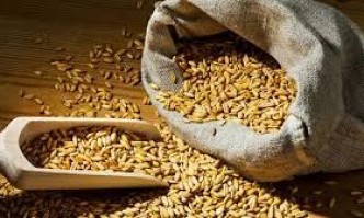 Унгария забрани целия износ на зърно Решението влиза незабавно поради