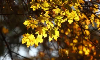 Над по голямата част от страната ще преобладава слънчево време Минималните