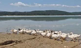 Заради дъждовете: Язовирите и реките в Софийска област са под контрол, критична ситуация няма