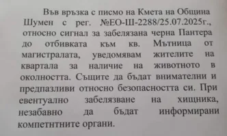 Черният леопард е забелязан до шуменския квартал Мътница