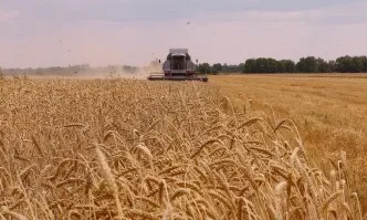 Кредит Агроподкрепа от Fibank в помощ на българското земеделие
