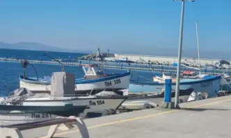 Трети труп на крава изплува на родното крайбрежие След като