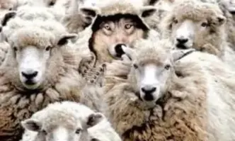 От профила във Фейсбук на Иво Сиромахов ГОРСКОТО ПРАВИТЕЛСТВО Написах тази неприятна