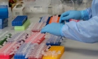 През последната седмица в Белгия са регистрирани четири случая на