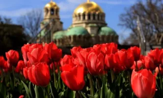 В неделя ще преобладава слънчево време следобяд с временни увеличения