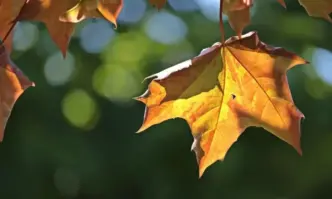 В четвъртък времето над страната ще е предимно слънчево с