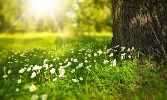 Днес ще преобладава слънчево време След обяд главно над източните