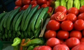 Родни производители алармират: Българските зеленчуци могат да изчезнат от пазара