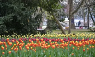 Слънце, почти летни температури, но и гръмотевични бури днес