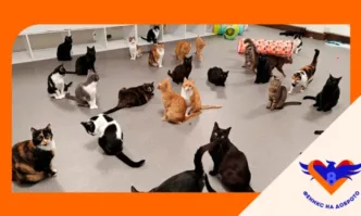 Благотворителната инициатива подкрепена от разширява своя обхват като