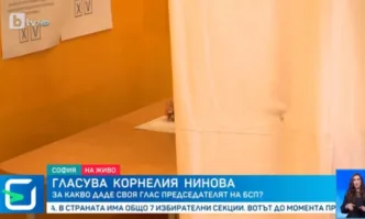 Фентъзи пародия с елементи на подигравка гледаме от сутринта Жалка