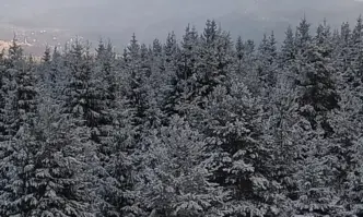 Не са добри условията за туризъм в планините съобщиха за