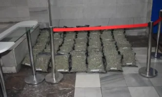 Модерната наркооранжерия в Змейово е била изградена при изключителна конфиденциалност
