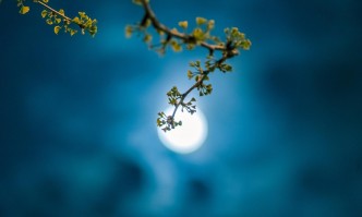 На 30 април се случва новолуние 23 29ч в знак Телец