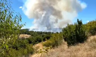 Голям горски пожар е избухнал този следобед между Ивайловградските села