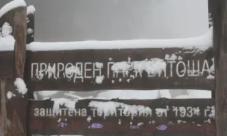 За първи път и все пред хора: Директорът на Столичният инспекторат правел интриги, затова е станал скандалът с BG-alert и Витоша…