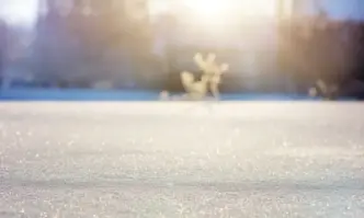 От Фейсбук профила на Лилия Божкова Цели 6 минути от