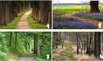 Този тест разкрива интересни неща за вас Всеки човек върви по