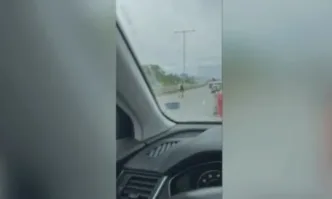 Животното е било в насрещнотоЗрител на bTV изпрати видео на