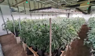 Варненският окръжен съд остави в ареста координатора на Продължаваме промяната