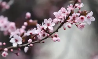 Дневните температури ще се повишават максималните ще са между