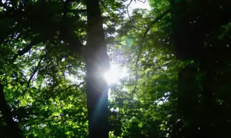 Слънчево на запад със следобедни превалявания на изток днес Още