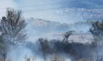 Локализираха пожара край петричките села на метри от къщите