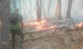 Недоволство сред доброволците в Югово: Държавата изобщо не помага срещу огъня