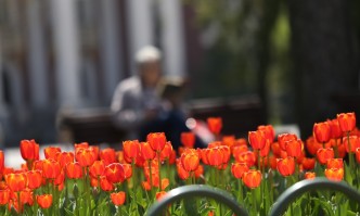 Днес преди обяд над по голямата част от страната ще е