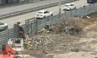 Опълченска остана с още четири дървета по малко съобщи в профила