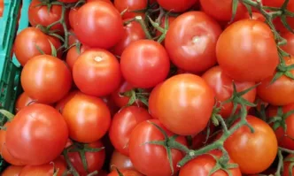 Доматите поскъпват двойно у нас след като Турция спря износа