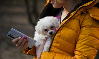 Днес компанията поднесе извинение на клиентите си и обеща да